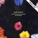 Junk Culture