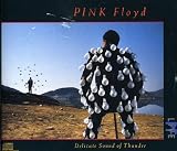 Lyrics to the Pink Floyd album Delicate Sound Of Thunder