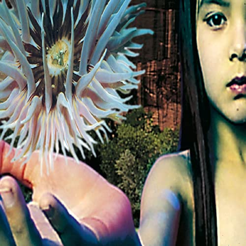 The Future Sound of London - Lifeforms (Single) - Zortam Music