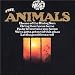 The Most of the Animals