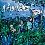 album art to Awake and Breathe