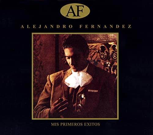 Alejandro Fernandez - Piel de Niña Lyrics - Zortam Music