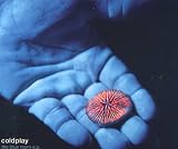 The Blue Room E.P. by Coldplay