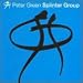 Peter Green Splinter Group