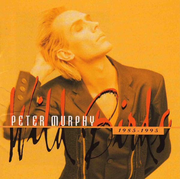Peter Murphy - The Sweetest Drop Lyrics - Zortam Music