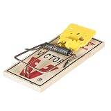 The iconic wooden snap traps from Victor. These work!