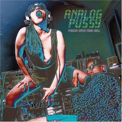 Analog Pussy - Psycho Bitch From Hell Lyrics - Zortam Music