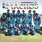 Gracias Mujer by Banda Machos