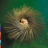 OVO: Millennium Show by Peter Gabriel