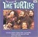 Most of the Turtles
