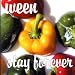 Stay Forever