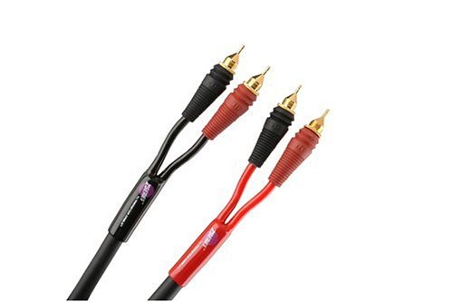 MP3 Player: Monster Cable Z1 ML-10/10 Z1� preisg�nstiges Audiophile-Lautsprecherkabel mit Monster Lock Master Pins, 3 m, Paar