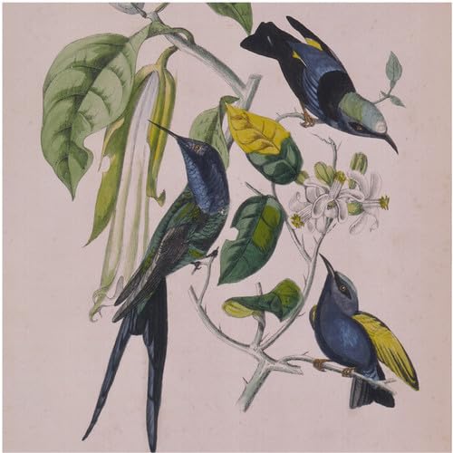 Susumu Yokota - Sakura - Zortam Music