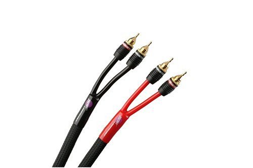 MP3 Player: Monster Cable Z2R ML-C10 Z2 Reference� Center-Kanal Audiophile-Lautsprecherkabel mit Monster Lock Master Pin�, 3 m