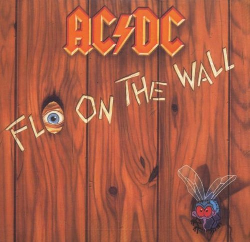 Fly on the Wall