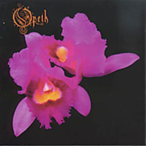 Orchid