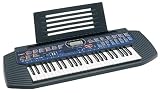 Casio CTK431 49-Note Portable Electronic Keyboard