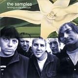 Landing on the Sidewalk by Samples

