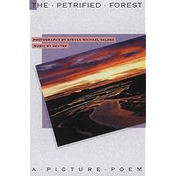 The Petrified Forest: A Picture Poem