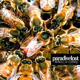 Believe in Nothing Import by Paradise Lost
