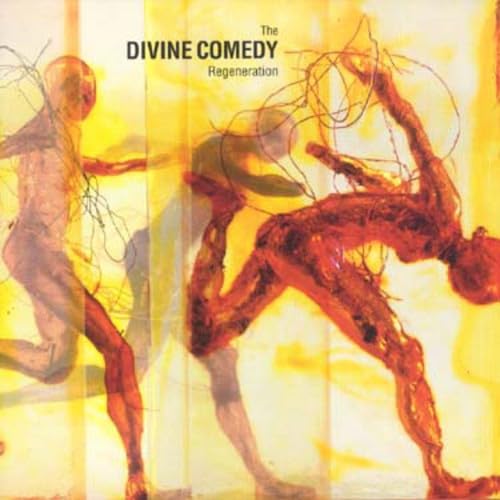 The Divine Comedy - Timestretched Lyrics - Zortam Music