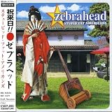 album art to Stupid Fat Americans