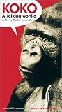 Koko, A Talking Gorilla