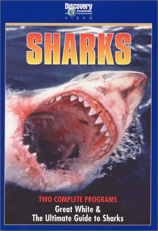 Great White/The Ultimate Guide To Sharks