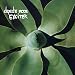 Exciter