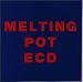 MELTING POT(メルティング・ポット)