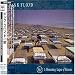 Momentary Lapse of Reason