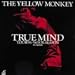 TRUE MIND TOUR �f95�`�f96 FOR SEASON:in motion