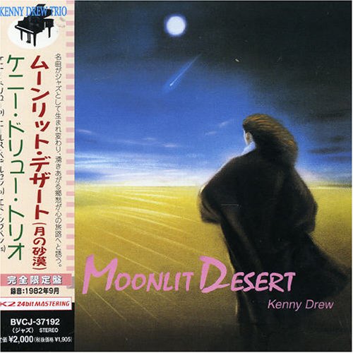 Moonlit Desert