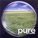 pure 2