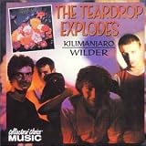 Kilimanjaro/wilder