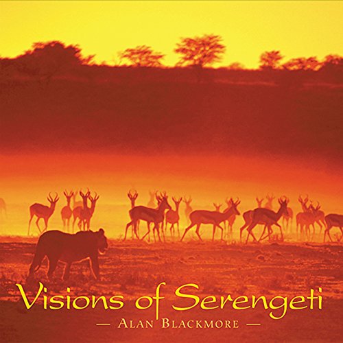 Vision of Serengeti