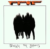 Beneath the Shadows by T.S.O.L.