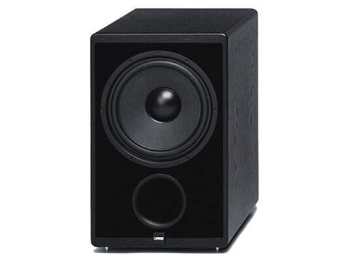 Camcorder: Canton Ergo AS 2 Aktiv-Subwoofer buche