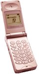 Festplatten: Samsung SGH-A110 Handy gold