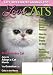 I Love Cats