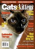 Cats & Kittens
