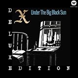 album art to Under the Big Black Sun