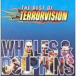 Whales and Dolphins