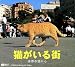 猫がいる街 世界の国から