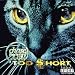 Chase the Cat