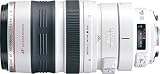 Canon EF 100-400mm F4.5-5.6L IS USM (IMAGE STABILIZER付き)
