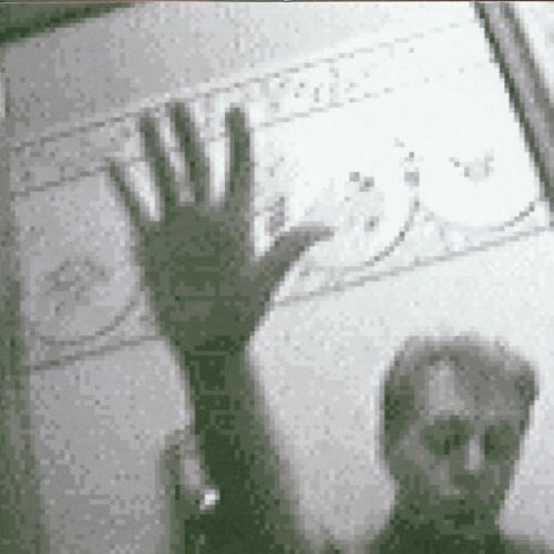 Paul McCartney - cd86 - Zortam Music