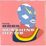 Sunshine Hit Me by The Bees