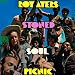 Stoned Soul Picnic