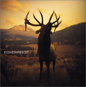 Kosheen - Hide u (Orginal) Lyrics - Zortam Music
